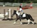 Sioux the super pony!