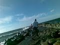 boldes trip