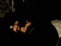 videos de The worlds most intresting video