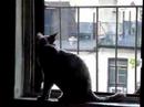 matthew looks out the window, briefly