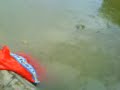 Pecaria 07/09/2008 b