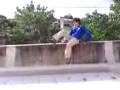 videos de Sapo se tira