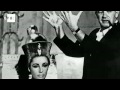 Elizabeth Taylor hubiera cumplido hoy 80 años