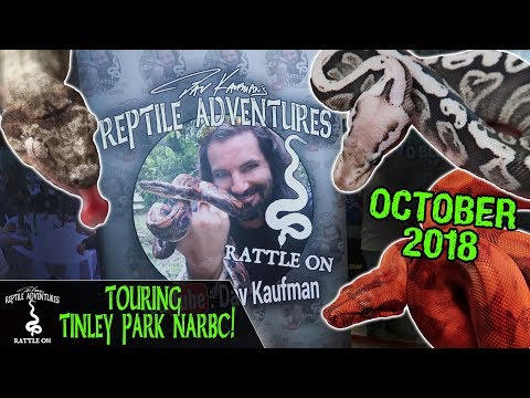 YouTube reptile video