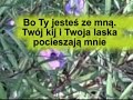 Pan Jest Moim Pasterzem 2 (PSALM 23)
