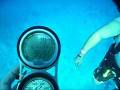 videos de 38 Seconds of a Three Minute Safety Stop!