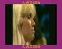 ABBA RING RING (ANSWER THE PHONE MIX) VIDEO BY J. MORGA ABBA RING RING (ANSWER THE PHONE MIX) VIDEO BY J. MORGA