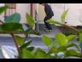 WE MAKE GOLD TEASER 2