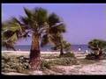 Florida Choiec Vacation Home Rentals