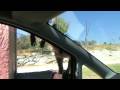 videos de Monkies over the windscreen (Scimmiette sul parabrezza)