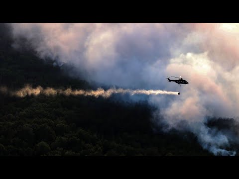 Grter Waldbrand in Brandenburg seit der Wende auf 5 ...