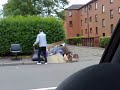 junkie raiding the bins riddrie glasgow