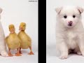 friends-quotes.html
