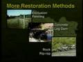 Tomki Creek Watershed: A Project of Community Concern