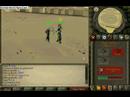 0o0oooo0oo0o at duelarena (ranging) 0o0oooo0oo0o at duelarena (ranging)