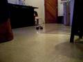 videos de Mini-Z