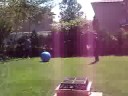 Kicking a ball at Adam!