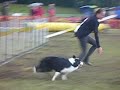EUROPEAN OPEN ( ?ESK� REPREZENTACE - VER?A  TEXI )