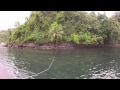 Nature's Alarm Clock - Cumberland Bay, St ...