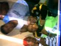 MC Ghrol da luiz alves zn