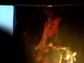 Of Montreal - Requiem for O.M.M.2