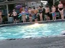 the pool