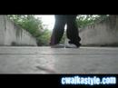 CWalkaStyle - The V Advanced Tutorial CWalkaStyle - The V Advanced Tutorial