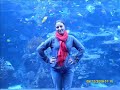 Atlanta 2009