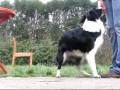 videos de WENA - tricks - 30.11.2008r.