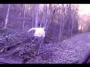 trail hunting