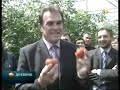 staklenici-donose-zaradu-i-posao-.html