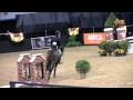 Chase Boggio-2010 Maclay Finals