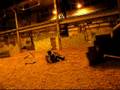 Gotcha by SSFcrew ,2.Mai.08, Allah akbar