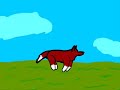 Random Animation