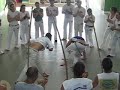 pintor e instrutor madeira