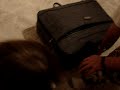 stilly in a suitcase