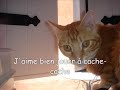 Les B�tises de Tigrou