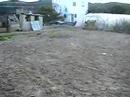 cullera 2