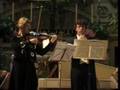 Bach, Concerto per oboe e violino BWV 1060,  2° mov.
