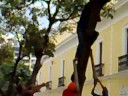 Hombre Vs Arbol