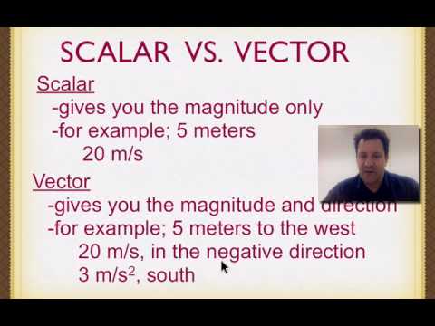 how to distinguish between scalar and vector quantities
