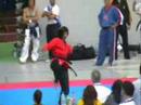 WKA 2007 Germany: forms