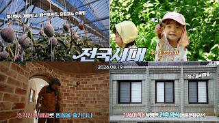 전국시대
