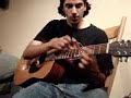 Dylan's Cannon 12 string guitar