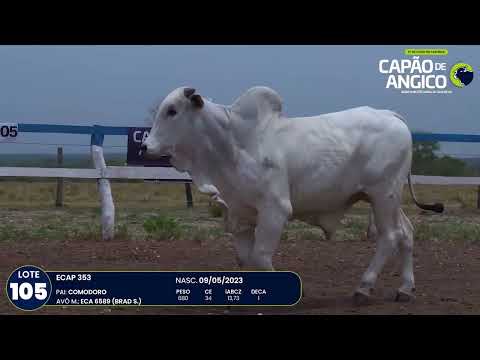 9 De Olho na Fazenda Capo do Angico