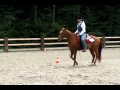 Western tekmovanje za DP SIQHA & Gombac Sara