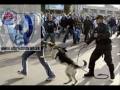 Slovan Bratislava Hooligans&little bit Ultras compilation