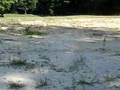 RC Sandrail