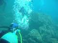 Underwater Reunion 1