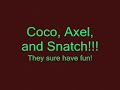 Coco, Axel, and Snatch the cat! Coco, Axel, and Snatch the cat!